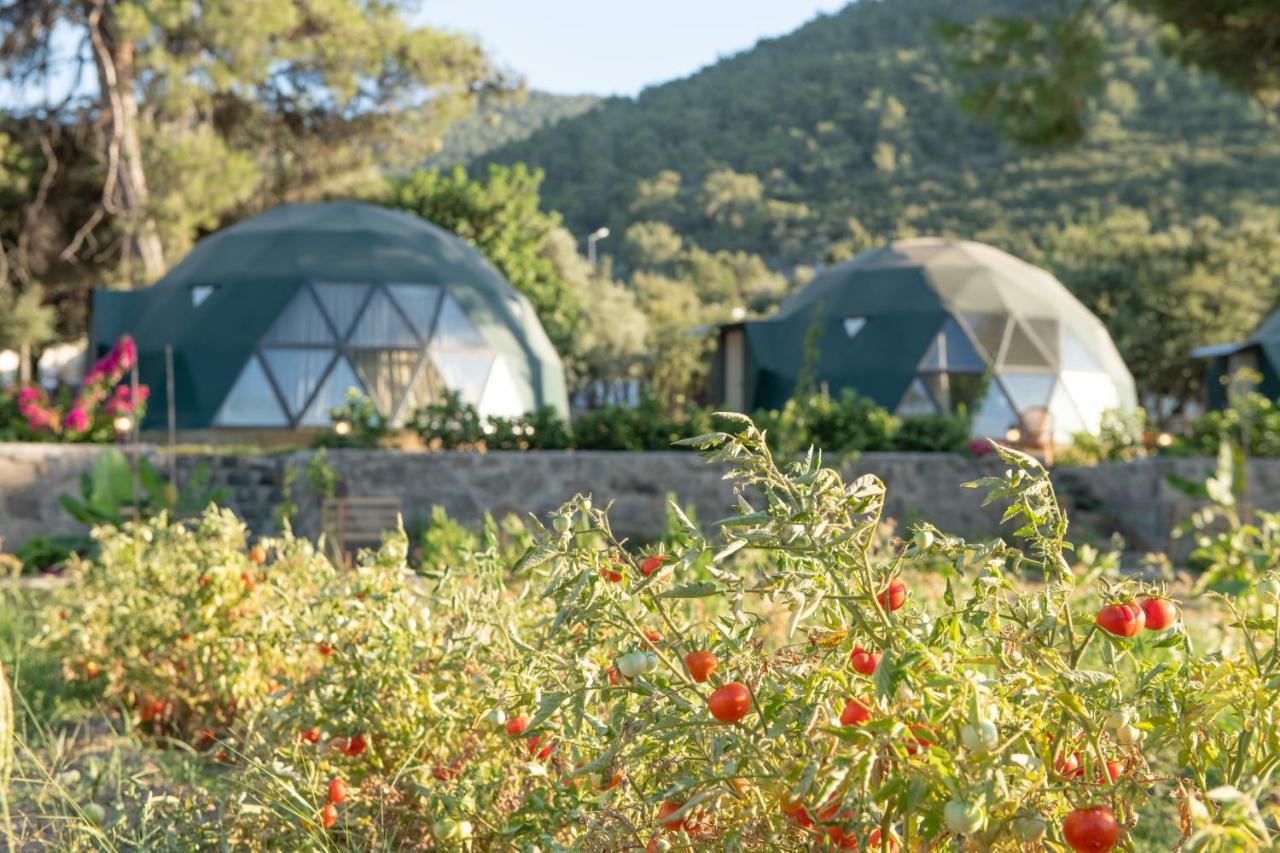 Hotel Lusso Glamping Bodrum Exterior foto